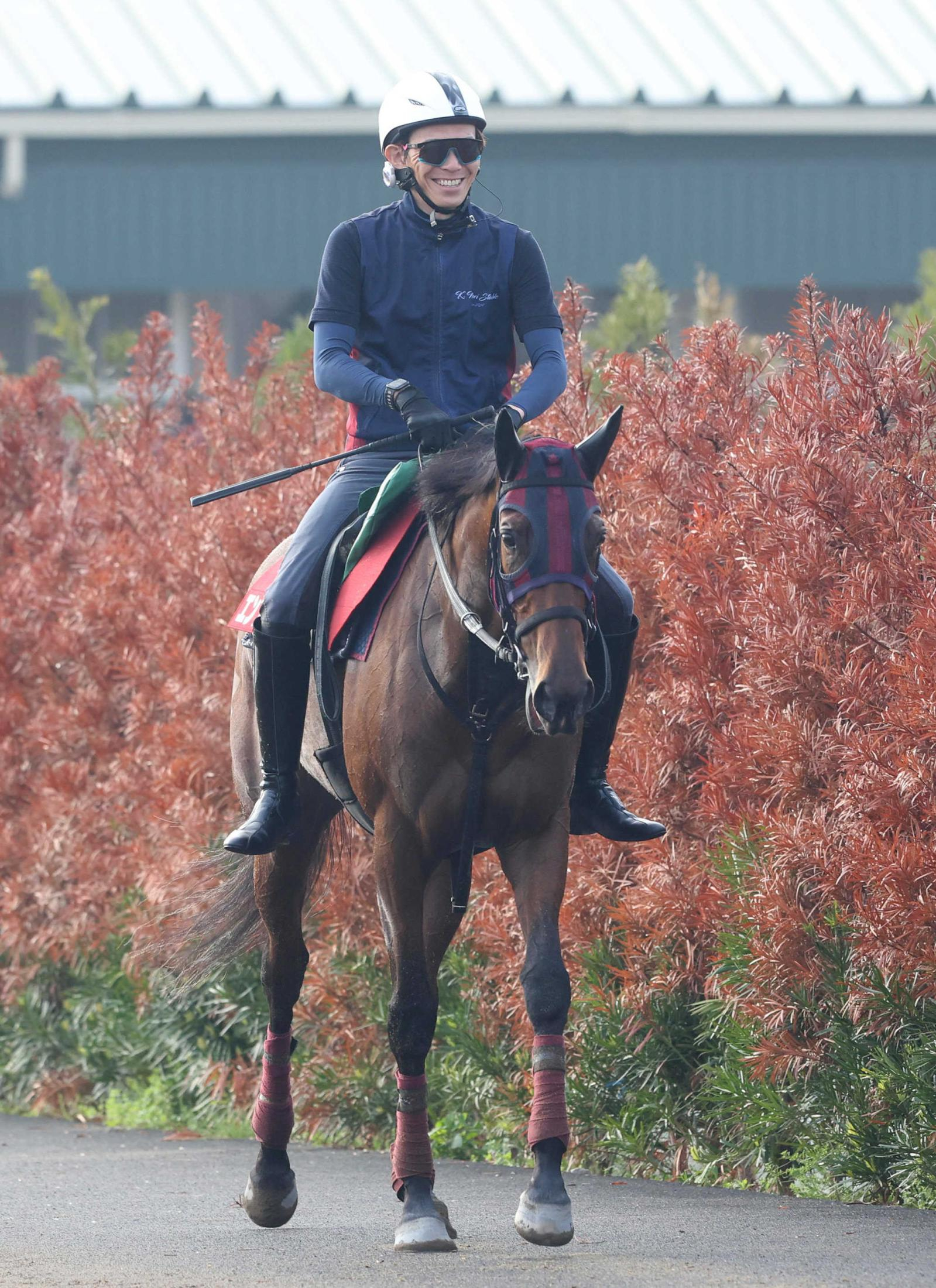 【ヴィクトリアＭ】エンブロイダリー視界良好　前哨戦の阪神牝馬Ｓで勝利　２冠牝馬が３つ目勲章へ