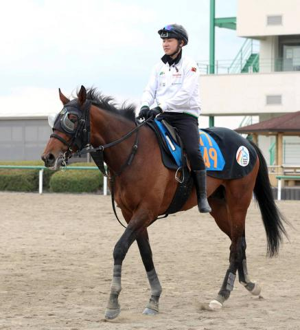 【注目馬動向】日経賞2着のミクニインスパイアは宝塚記念でG1初挑戦へ　鞍上は引き続き丹内祐次騎手