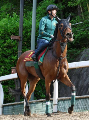 【ヴィクトリアM】ココナッツブラウンの好走へのポイントは?　上村調教師「決め手はひけを取らないと思う」
