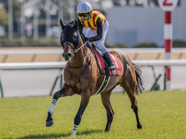 【新潟大賞典予想オッズ】ドゥラドーレスが予想1番人気