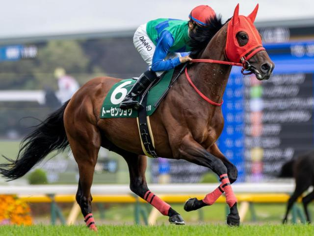 ディープ産駒が17年連続のJRA重賞制覇なるか トーセンリョウが新潟大賞典で初タイトル狙う