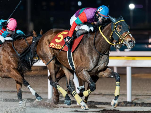 【川崎・エンプレス杯注目馬】春のダート牝馬頂上決戦 テンカジョウの連覇か、新たな主役の誕生か