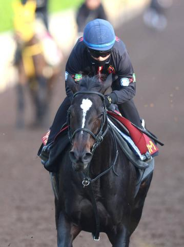 【ヴィクトリアM】G1初制覇へクイーンズウォークはパワフルな動き　西村淳也騎手「一週一週、状態も上がっています」