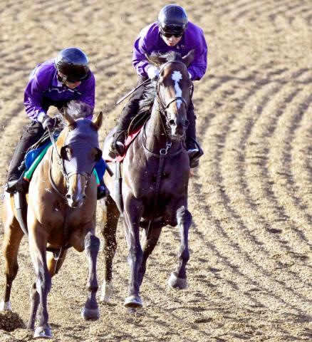 【オークス・1週前】桜花賞9着から巻き返しを図るドリームコアは1馬身先着　萩原調教師「全体的に良かった」