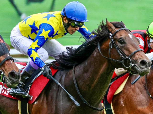24年青葉賞を制した超良血馬 シュガークンが新潟大賞典で約2年ぶりの復帰戦だ