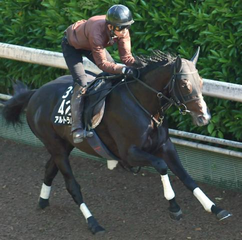 【日本ダービー・2週前】皐月賞18着からの巻き返しへ上々の気配　アルトラムスに野中調教師は「リズム良く走れていた」と納得