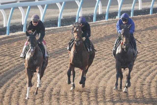 【ダービー2週前追い】4頭出しの上原佑厩舎　続々Wコースに登場　指揮官「みんな元気いっぱい」