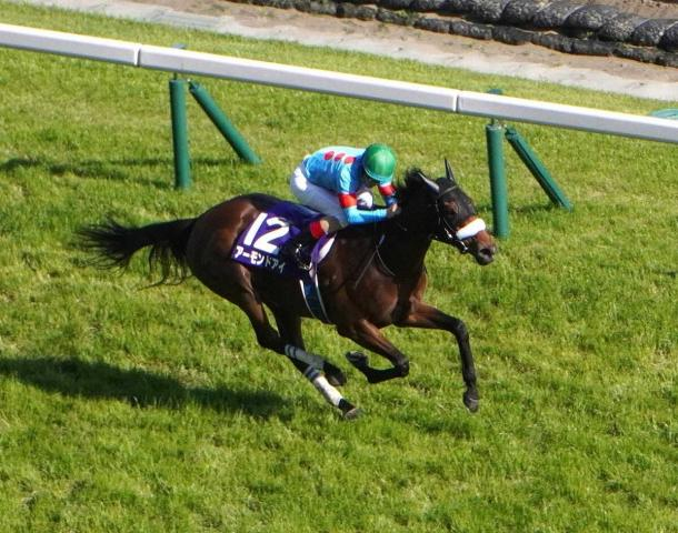 【ヴィクトリアM】ドバイ中止…帰国初戦で最強を証明したアーモンドアイ