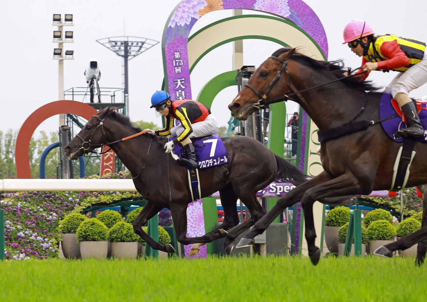 宝塚記念ファン投票　１位は大阪杯＆天皇賞・春を連勝のクロワデュノール　ＪＲＡが第１回中間発表