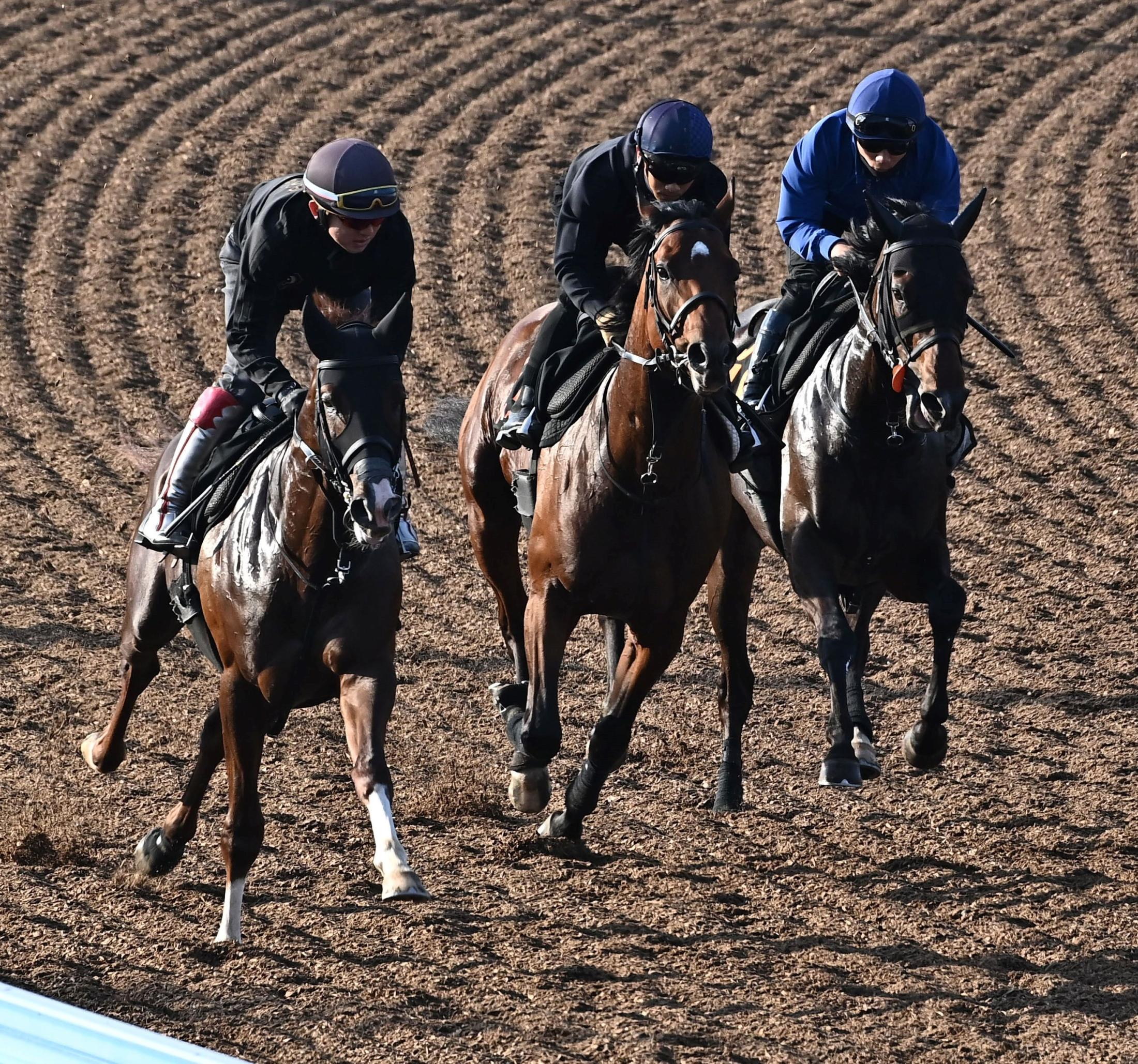 ライヒスアドラーなどダービー４頭出しの上原佑厩舎３歳勢が２週前追い切り　上原佑師は「４頭とも順調」