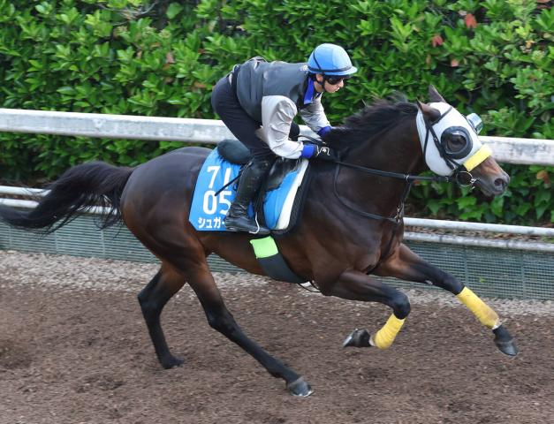【新潟大賞典・枠順確定】キタサンブラックの半弟シュガークンは武豊騎手と大外枠に　ルメール騎手のドゥラドーレスは4枠6番に決定