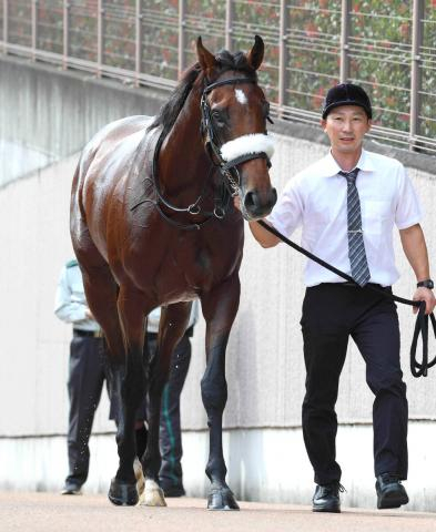 【注目馬動向】アーモンドアイの初子アロンズロッドはダービーデーの青嵐賞へ　鞍上は引き続きルメール騎手　