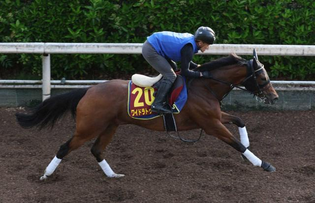 【ヴィクトリアM】(2)ワイドラトゥール　外め欲しかったが…藤原師「コース替わりに期待」