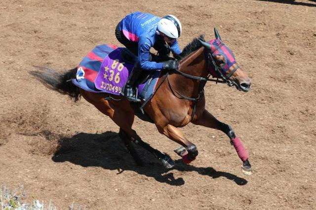 【ヴィクトリアM】(12)エンブロイダリー　競馬しやすい枠　森一師「伸び伸び走れるのはいい」