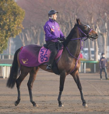 【ヴィクトリアM】(14)ジョスラン　仕上がり不安なし　鹿戸師「前に壁をつくってレースを進めたい」