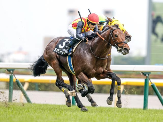 【今日の注目ポイント】新潟大賞典と京都HJの2重賞