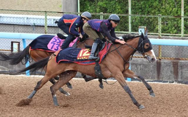 【ヴィクトリアM・特選有力馬チェック】チェルヴィニアは買うべき?