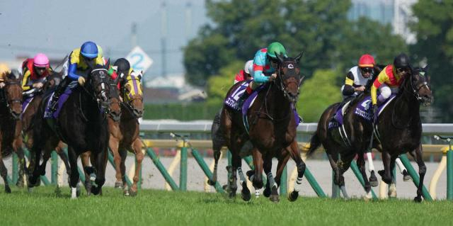 【ヴィクトリアM】カムニャック　川田納得の2着「とてもいい走りをしてくれました」