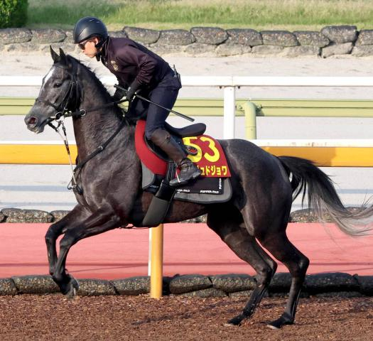 【オークス】無傷2連勝のアンジュドジョワが一発狙う　騎手時代にオークス3勝の福永調教師が送り込む未知の素質馬