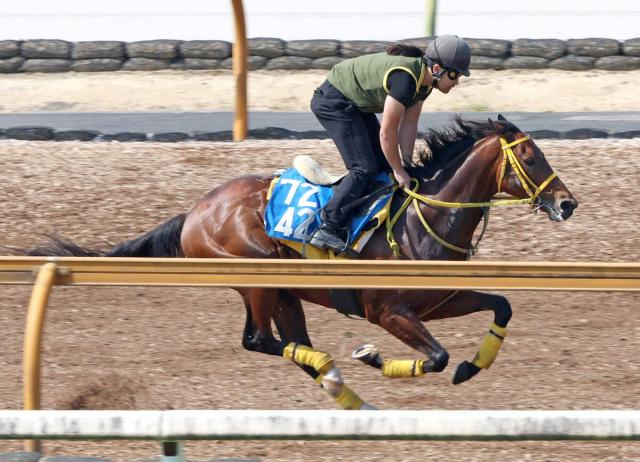 【平安S】ゼットリアンが火曜追いで力強い伸び　陣営「少しずつ追い切りで動くように」巻き返しへ万全の態勢