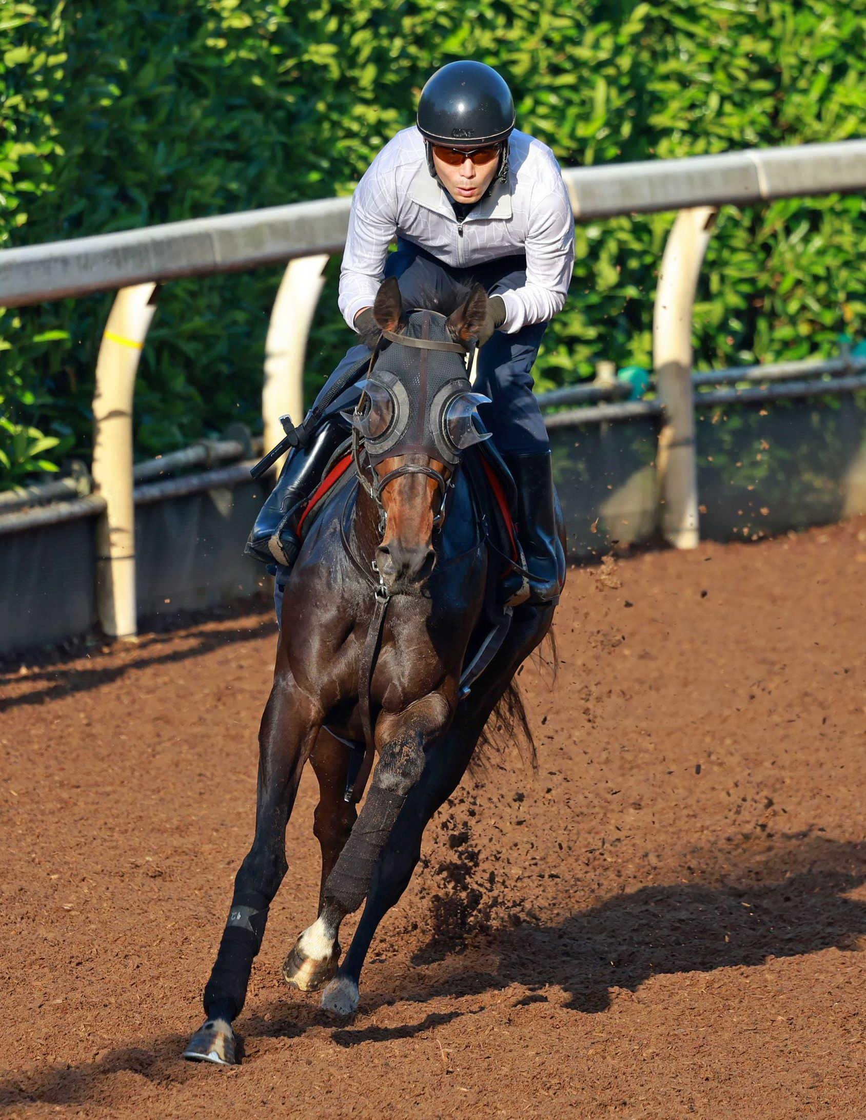 【オークス】アランカール　母子制覇へ異例の火曜最終追い　斉藤崇師も納得「いい動き」春３戦目＆関東輸送で慎重調整