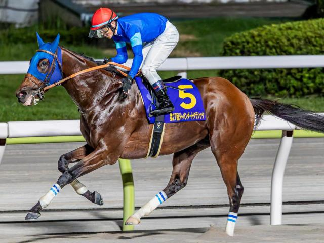 【平安S】サンダースノー産駒がJRA重賞初制覇なるか ナルカミが参戦