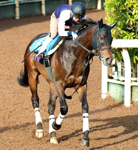 【平安S】重賞初Vを狙うタイトニットはエネルギッシュな動き　今野調教師が信頼「川田くんだし安心です」