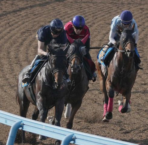【オークス】ミツカネベネラ　落ち着いて馬なり併入　当日は道悪を希望