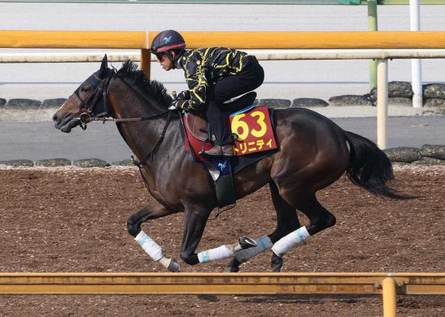 【オークス】トリニティ　CWコースゆったり　安田師プラン通りを強調