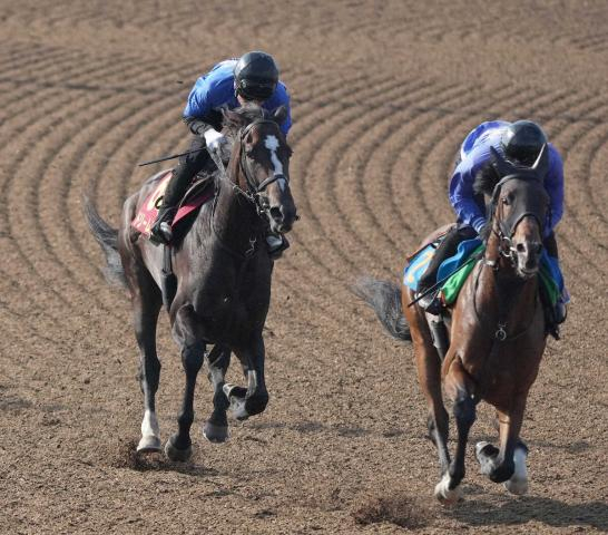 【オークス】ドリームコア、左で逆襲!東京なら任せろ　Wコース馬なり1馬身先着
