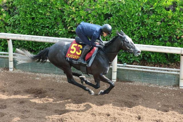 【オークス】アンジュドジョワ、一発狙う　福永師「前回より動きの質も上がった」