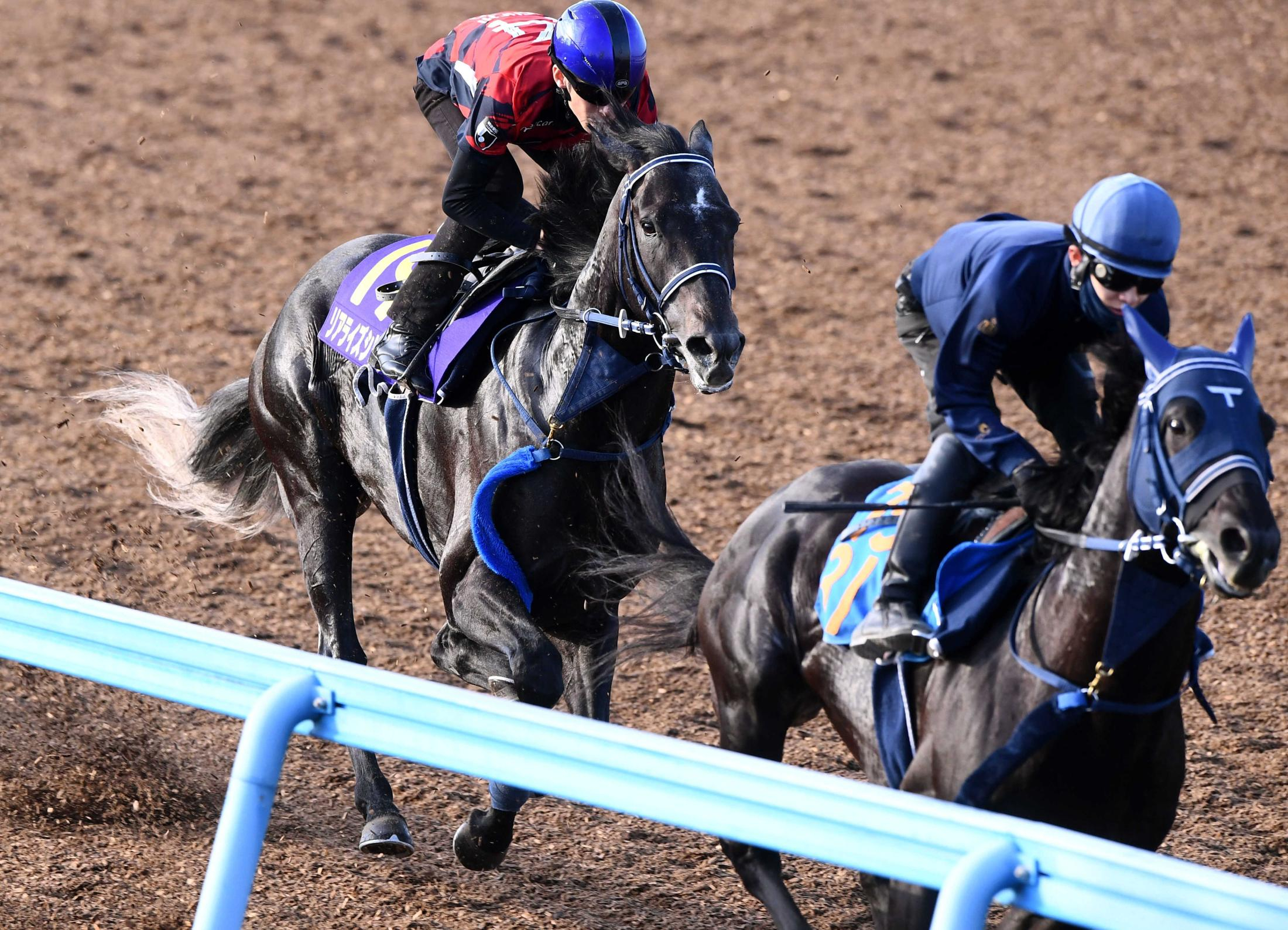 【ダービー】リアライズシリウス　文句なし　余裕の先着、逆転へ自信深まった　津村「動きは申し分ないですね」