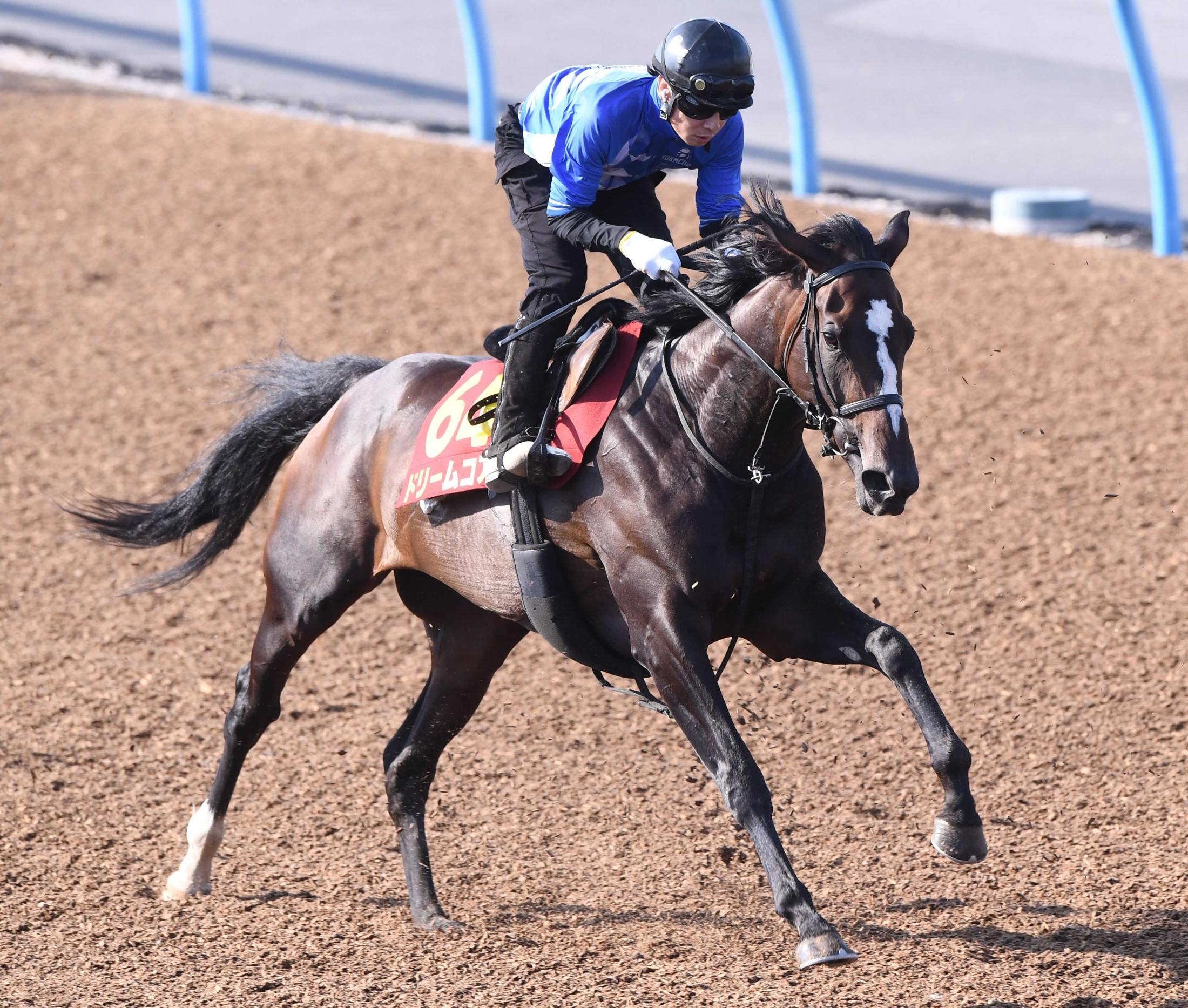 【オークス】ドリームコアが逆襲態勢　南田助手「落ち着いていて、折り合いも良い」　３戦負けなしの東京で汚名返上へ