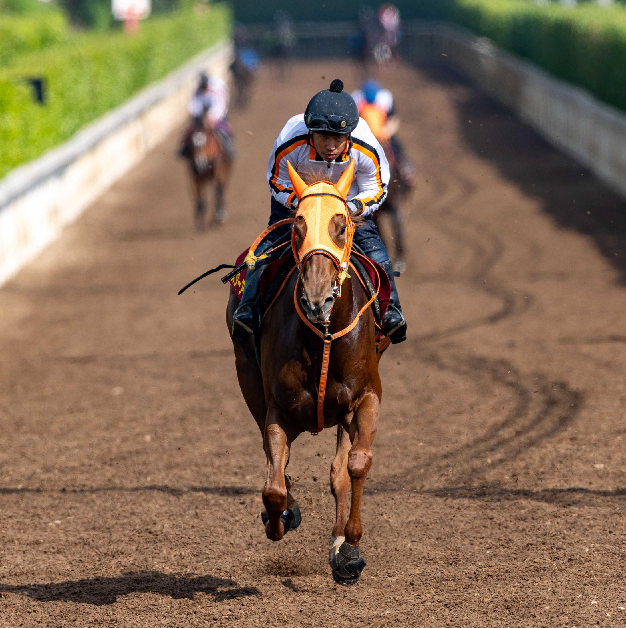 【オークス】スターアニス絶好調　牝馬２冠へ軽快リハ！完勝の桜花賞より状態アップ　高野師「１００％のパフォーマンス出せる」