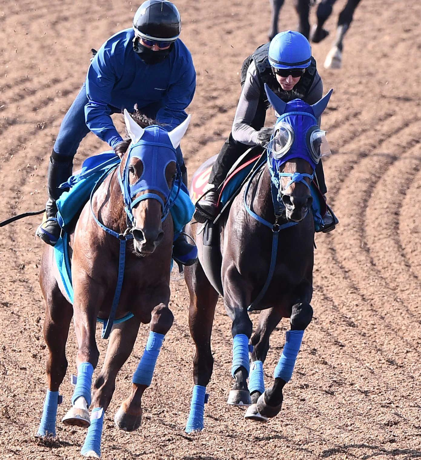 【オークス】ラフターラインズ　仕上がり万全　持ったまま楽な手応えで併入　レーンも太鼓判「余裕を持って走れていた」
