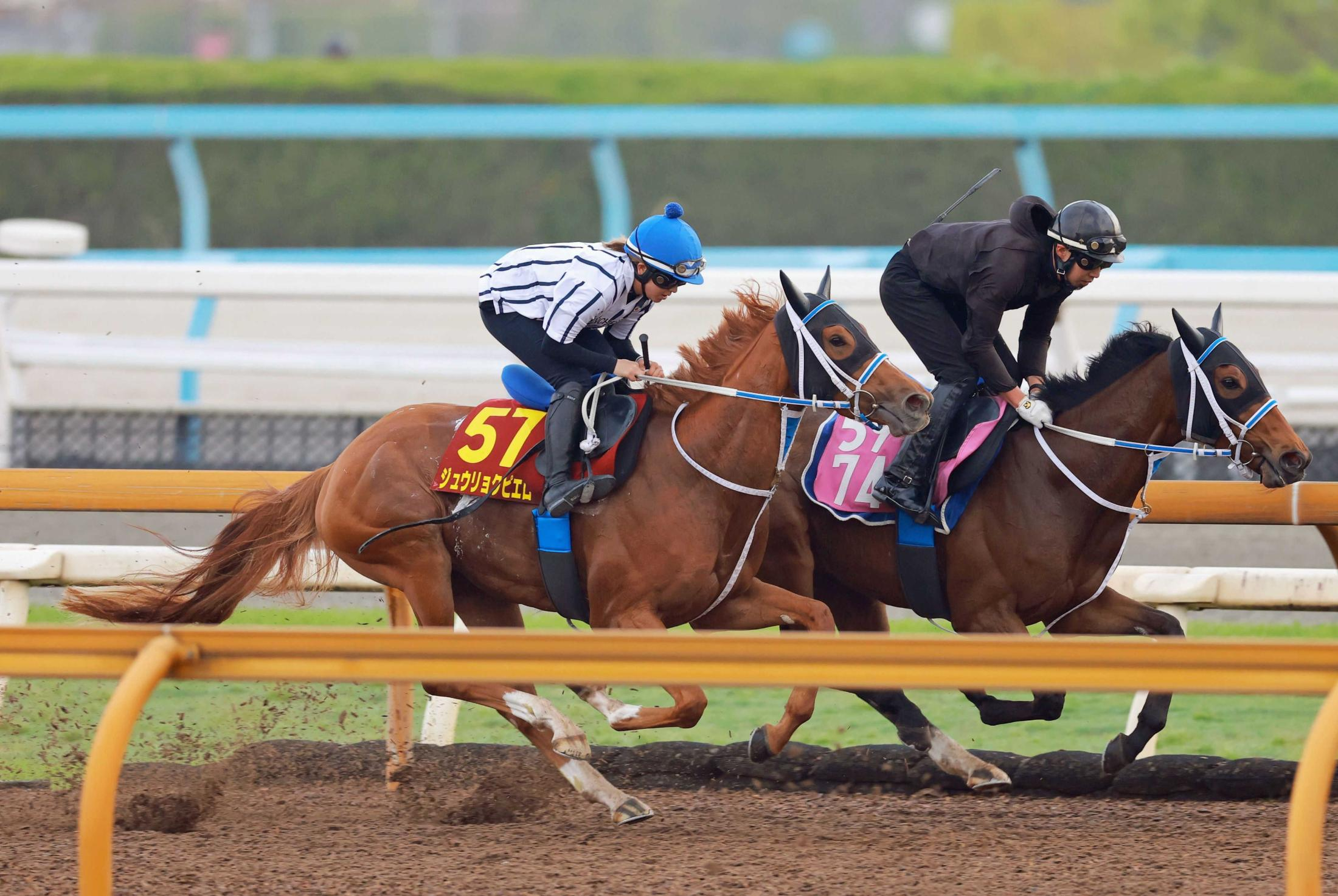 【オークス】ジュウリョクピエロ　大一番へ態勢万全　今村聖奈「動きの質良くなった」　寺島師「納得の状態で出せるかな」