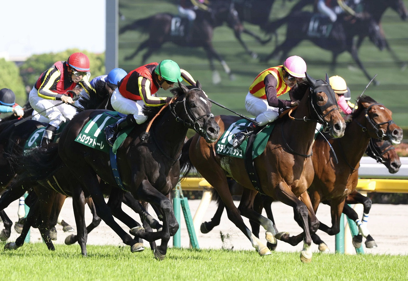 ステレンボッシュは安田記念に参戦　ドゥラドーレスは右前球節部の第一指骨?離骨折が判明
