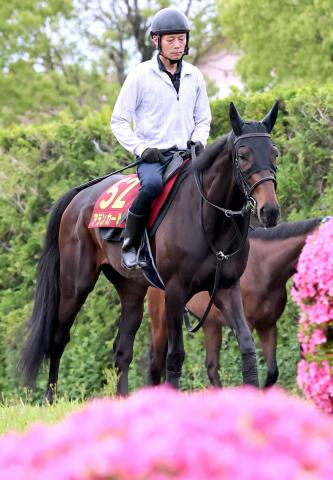 【オークス】武豊×アランカールは母シンハライトと同じ枠から頂点へ　斉藤崇調教師「お母さんと同じ枠で良かったです」