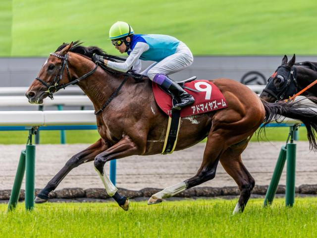 【安田記念想定馬・騎手】アドマイヤズーム、スズハロームなど20頭