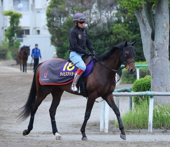 【日本ダービー・角田の特注馬】過去最高の動き!　ライヒスアドラーと佐々木大輔騎手が同期・今村聖奈騎手に続くG1初制覇だ