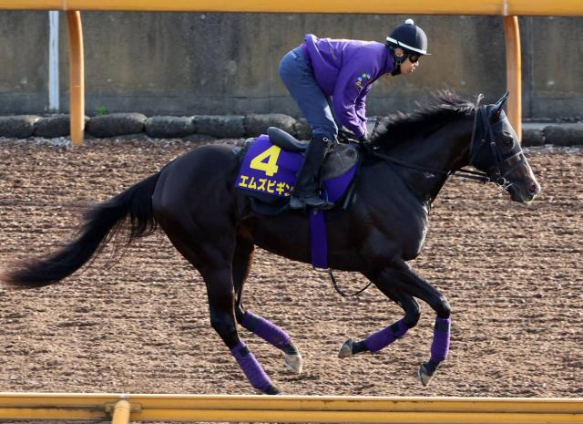 【日本ダービー】7年連続参戦の友道厩舎　今年は「滑り込み」5・9億円ホースのエムズビギンで下克上狙う