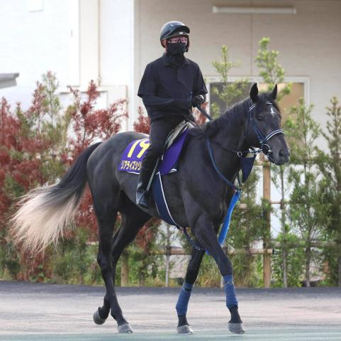 【日本ダービー】リアライズシリウスとアウダーシアの“ダブルエース”で手塚久調教師が悲願のVへ「思いは強い」