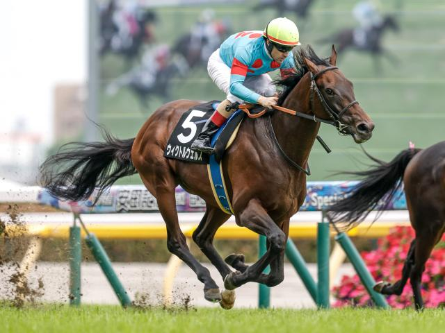 【目黒記念予想オッズ】ウィクトルウェルスが予想1番人気
