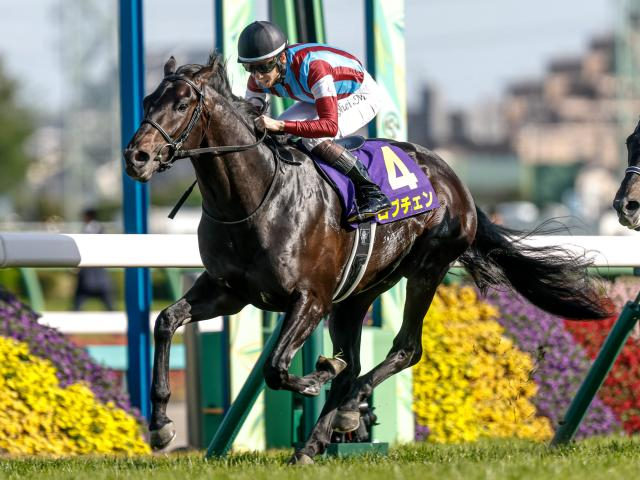 【日本ダービー予想オッズ】ロブチェンが予想1番人気