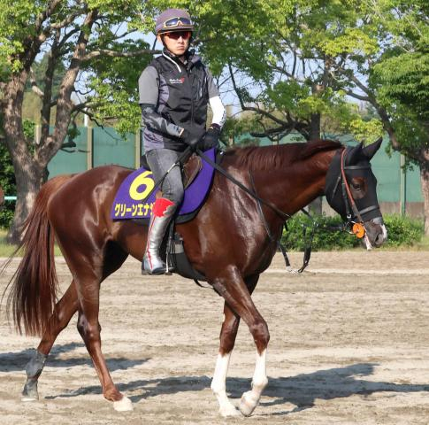 【日本ダービー・超ブル診断データ編】皐月賞の上位2頭を倒すなら...デビューから継続騎乗の鞍上とコンビの馬　