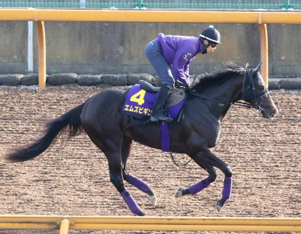 5億9000万円馬エムズビギンが下克上V狙う　ダービー現役最多3勝の友道康夫調教師「力を出し切ってほしい」