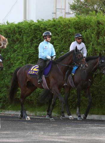 【日本ダービー】昨年のダービー馬クロワデュノールと豪華併せ馬!　最後まで食い下がったバステールに斉藤崇調教師「しっかり動けていた」