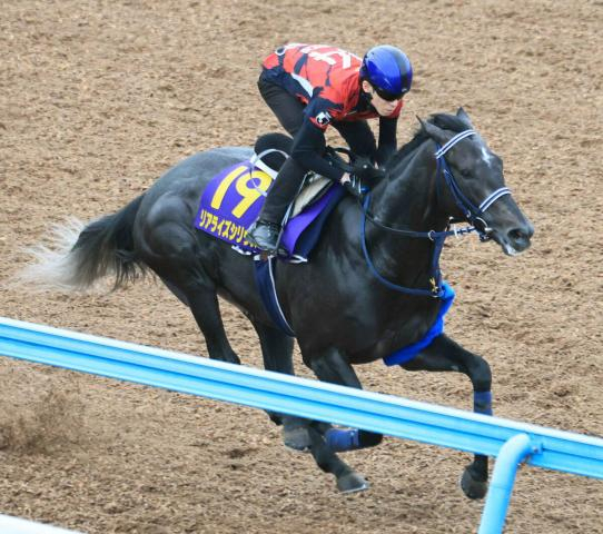 【日本ダービー】津村明秀騎手「もうやることはないくらいできた」　リアライズシリウスはWコースを単走でラスト11秒3
