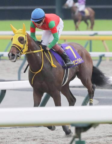 抽選突破で出走したオークスで18着のスタニングレディは骨折が判明　ラフィアンターフマンクラブが発表