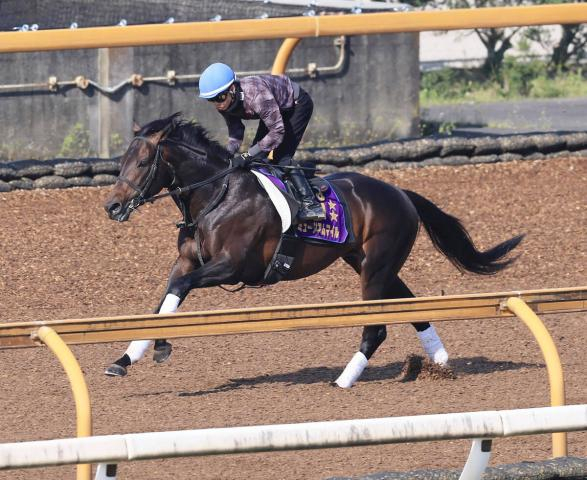 【宝塚記念・2週前】ミュージアムマイルは坂路で余裕残し　高柳大調教師「来週はしっかり動けると思います」